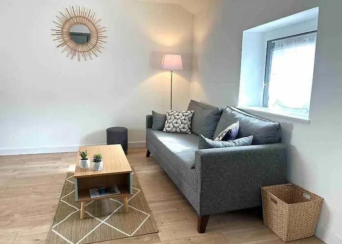 Hyper Centre T2 Idealement Situe Vienne (Isere)